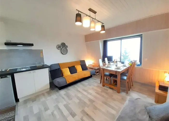 Appartement Cosy 4 Pers A 800m Des Pistes - Tv, Kitchenette Equipee, Navette Gratuite Vacances. - Fr-1-457-308 Saint-Lary-Soulan