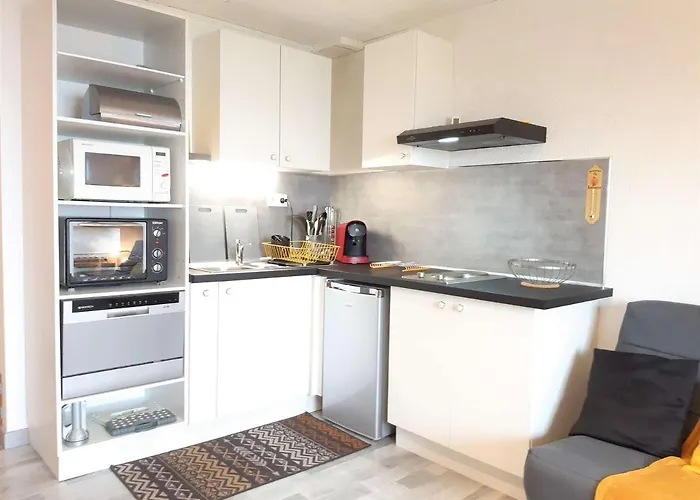 شقة Cosy 4 Pers A 800m Des Pistes - Tv, Kitchenette Equipee, Navette Gratuite Vacances. - Fr-1-457-308 *